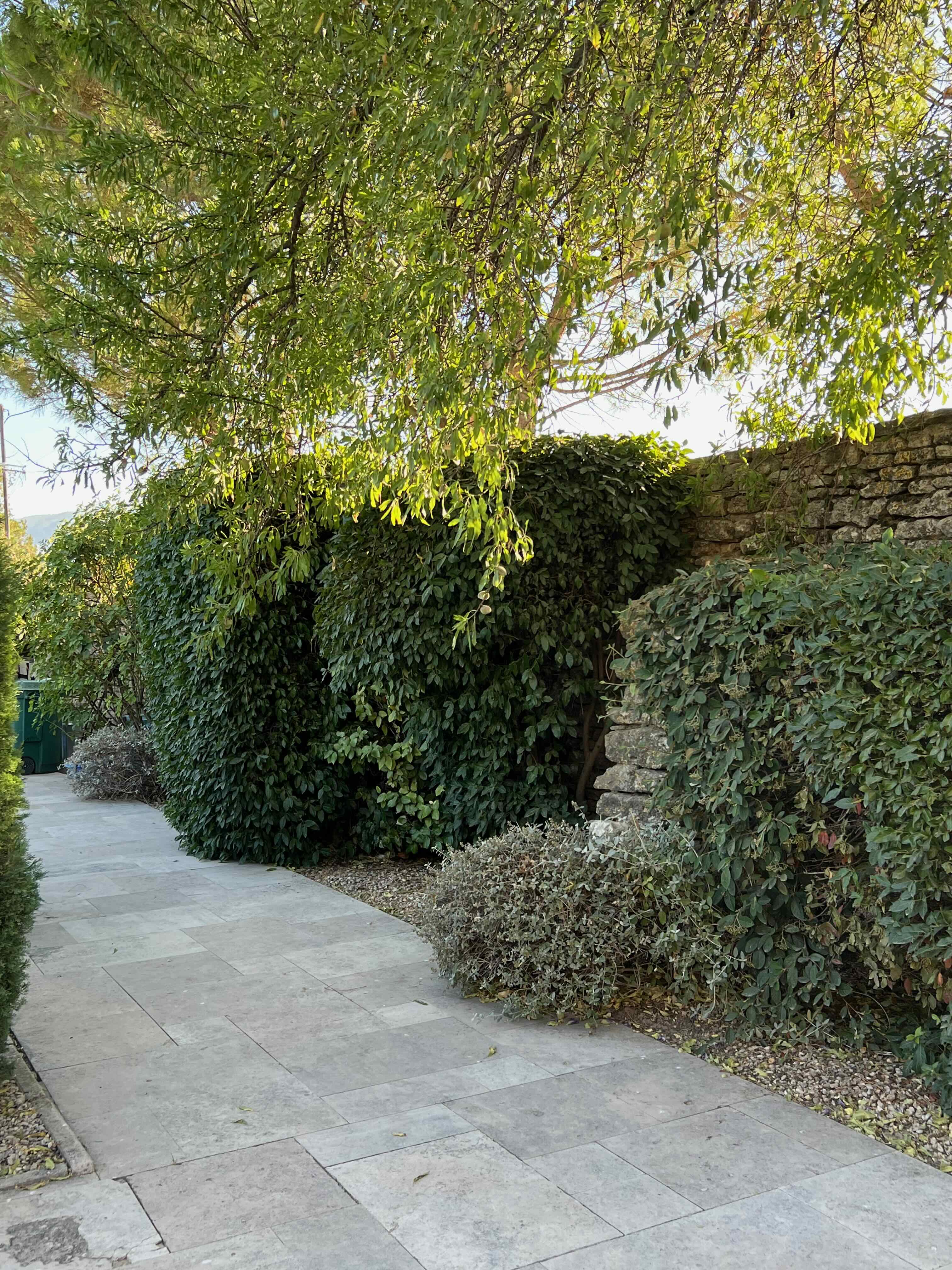 Jardin
